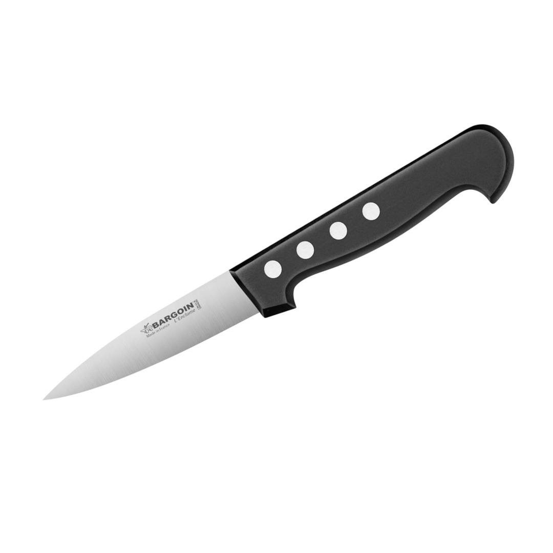 Sticking Knife 4-Rivet Handle, 11cm — Fischer France