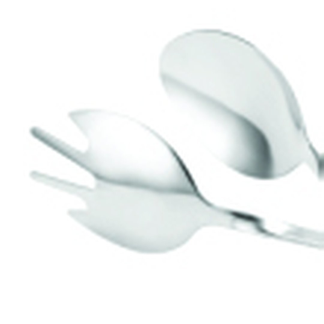 Scissor Salad Tongs 18/10 Stainless Steel 250 mm — TKF France